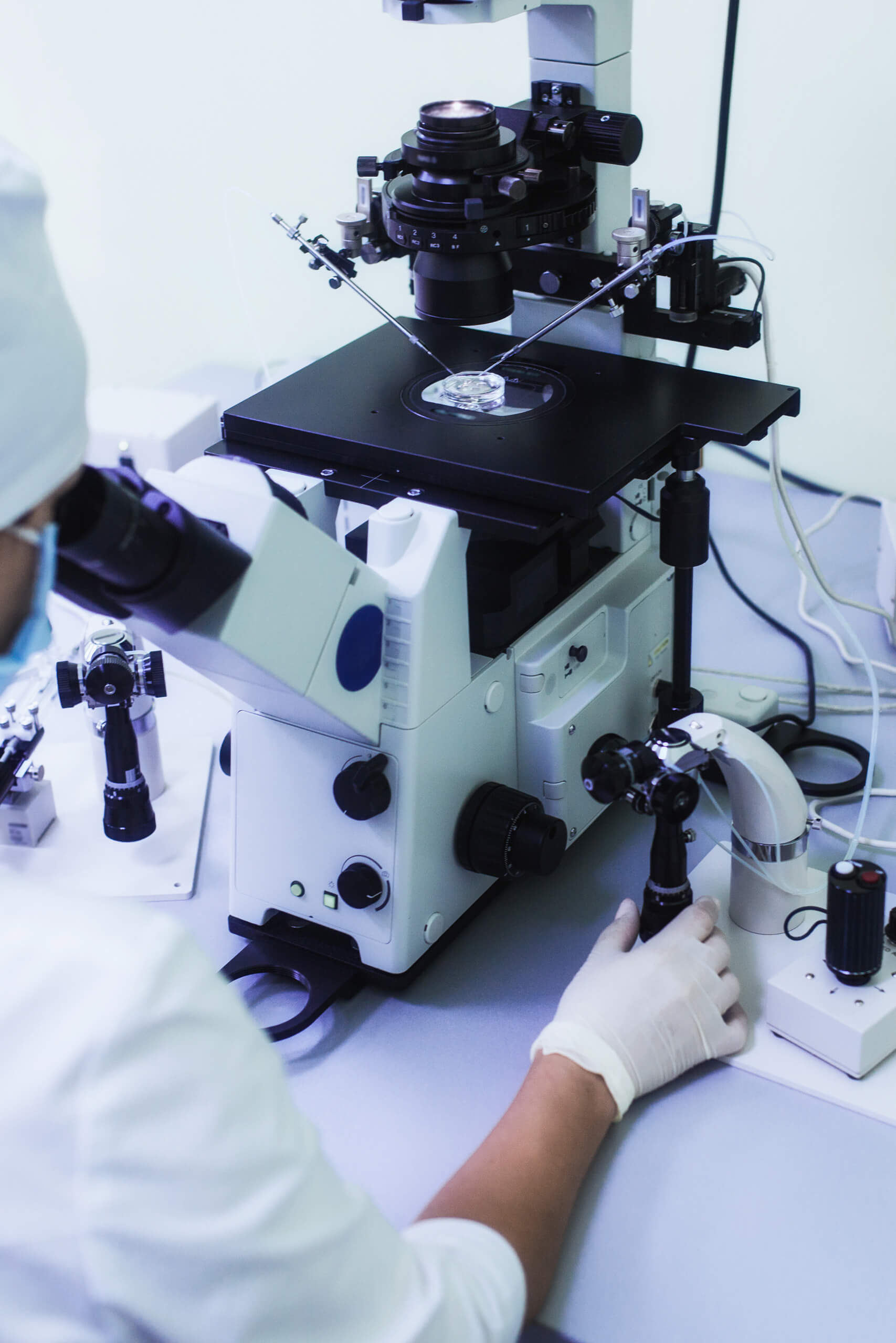 Doctor looking into a lab microscope